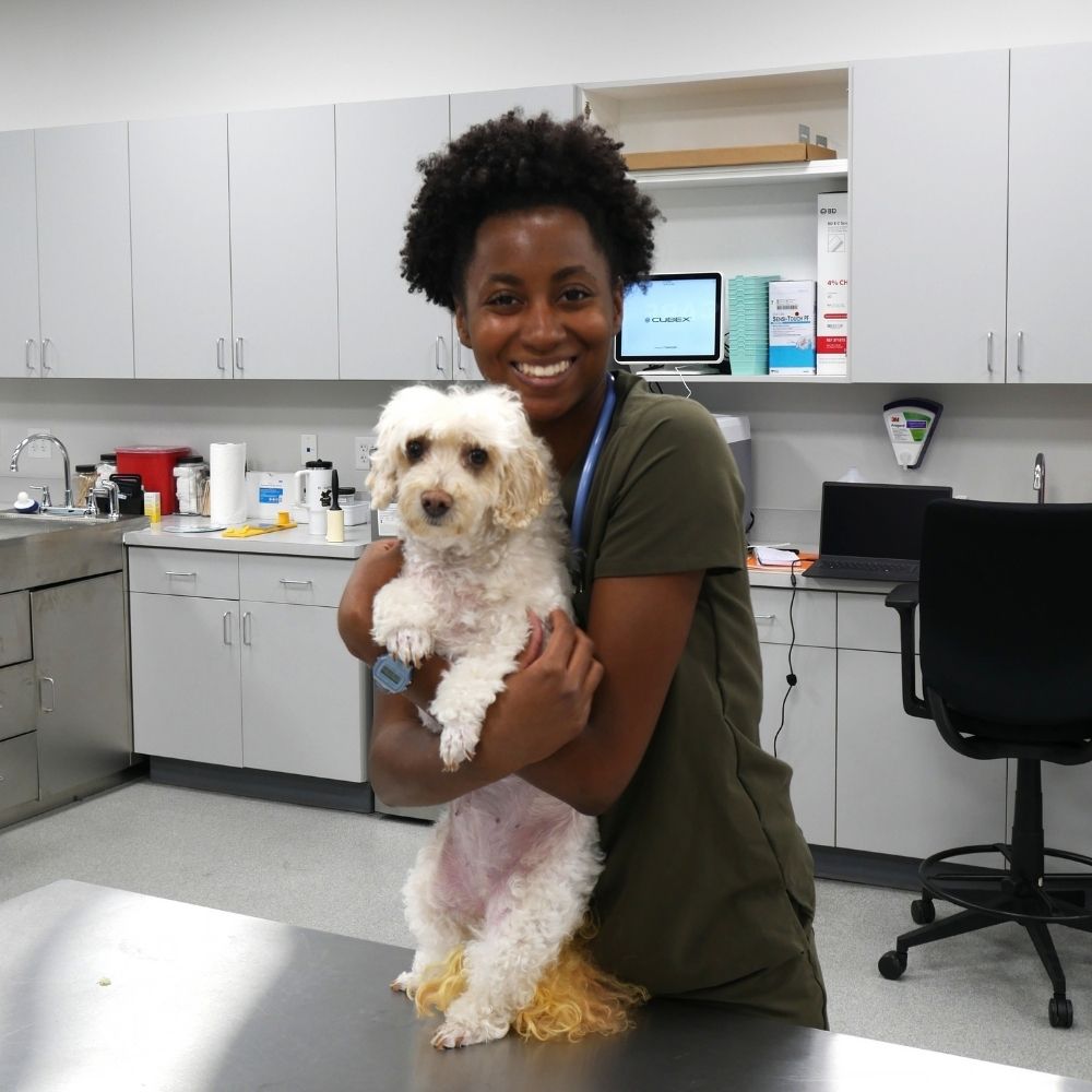 A person in green scrubs smiles while holding a small white dog